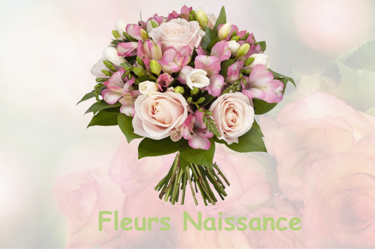 fleurs naissance COMBLES-EN-BARROIS