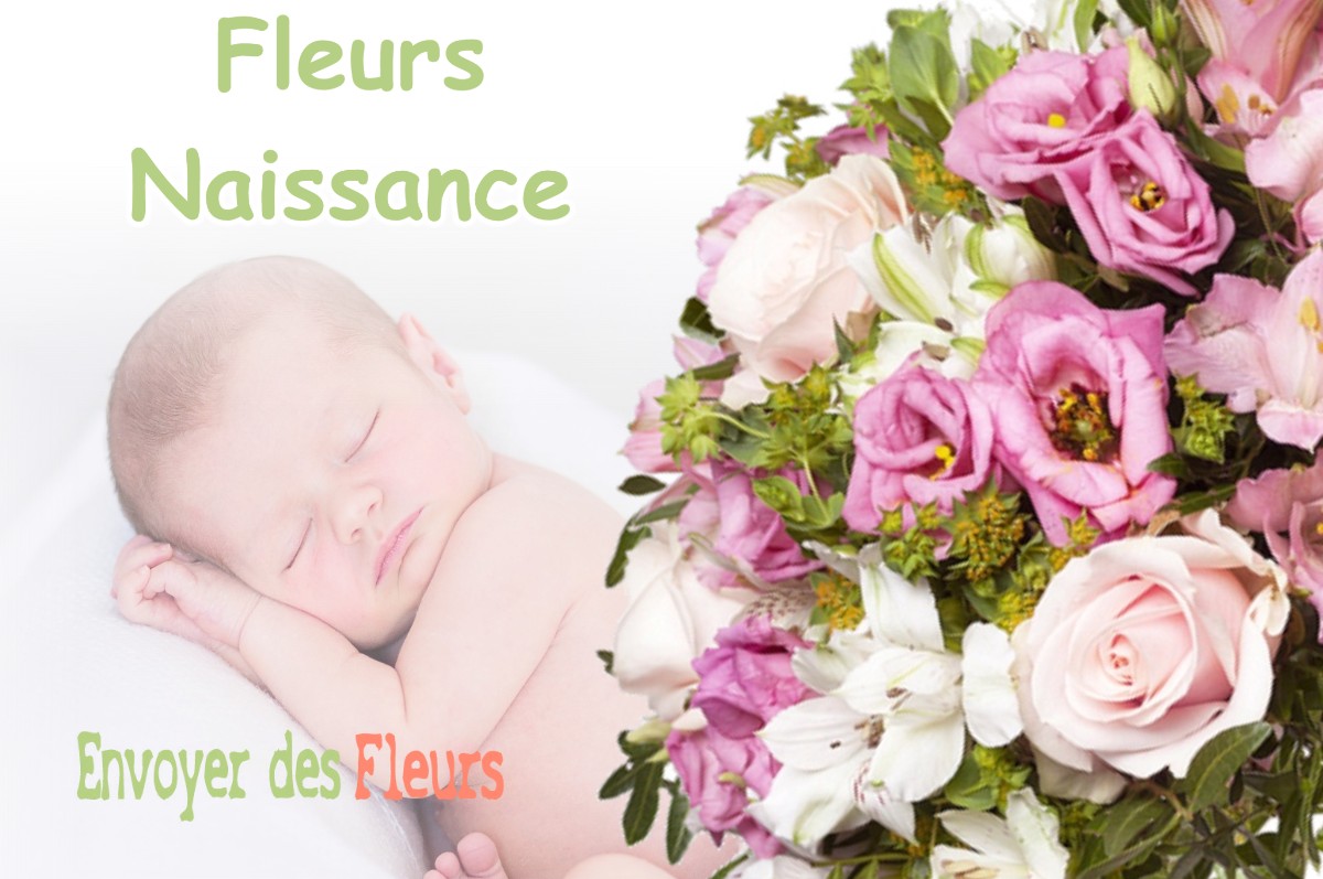 lIVRAISON FLEURS NAISSANCE à COMBLES-EN-BARROIS